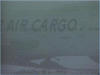 off4RatJFK-3