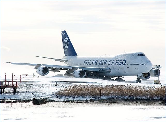 off4RatJFK-5