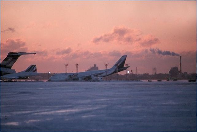 off4RatJFK-6